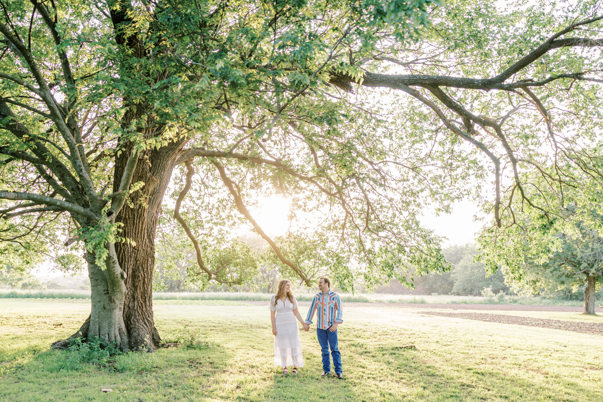 engagement picture at Sunny Acre Farms under large tree